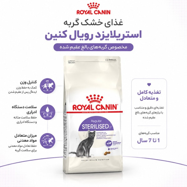 رویال کنین گربه عقیم شده
